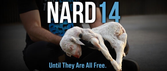 NARD – National animal rights day